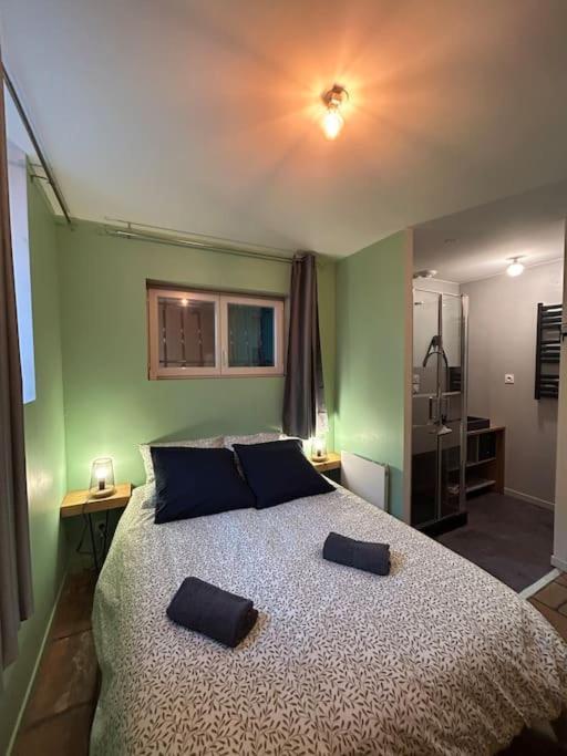 Le Cosy Balat Biel Rdc Jardin Spacieux Grisolles  Exterior photo