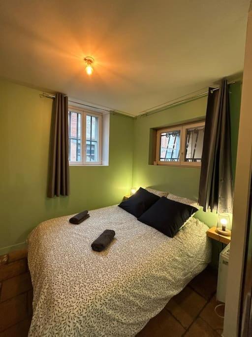 Le Cosy Balat Biel Rdc Jardin Spacieux Grisolles  Exterior photo